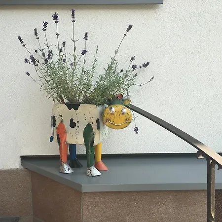 Apartmán Steiner