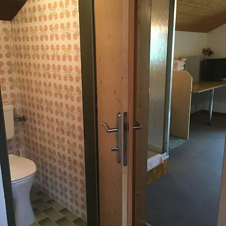 Apartmán Steiner *